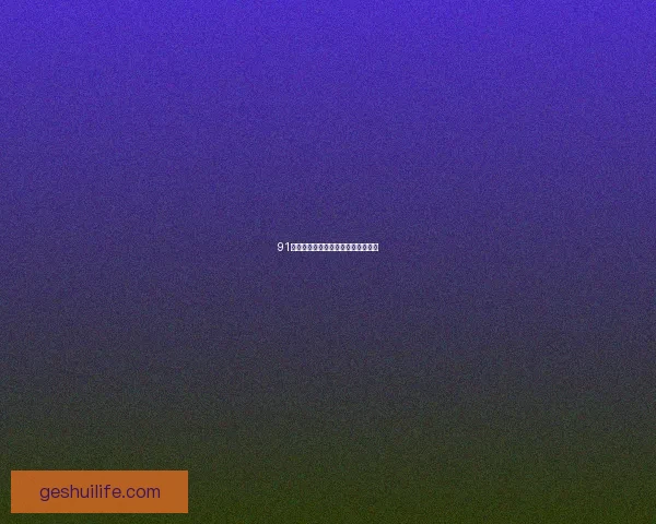 91视频：探索无限精彩，点燃你的视界